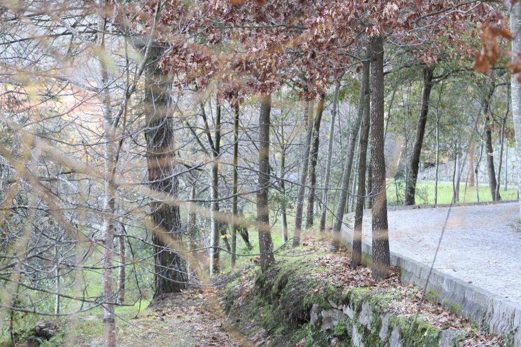 ホテルQuinta De Santa Cruz Canelas  エクステリア 写真